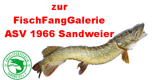 FischFangGalerie